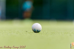 Sommer-Hockey-Camp-2017_197